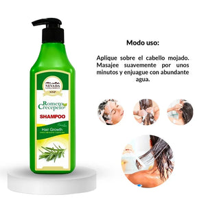 SHAMPOO DE ROMERO: PODER NATURAL CONTRA LA CAIDA DEL CABELLO