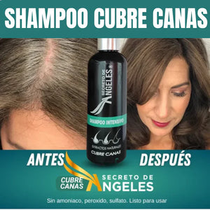 SHAMPOO CUBRE CANAS PRO - SECRETO DE ÁNGELES